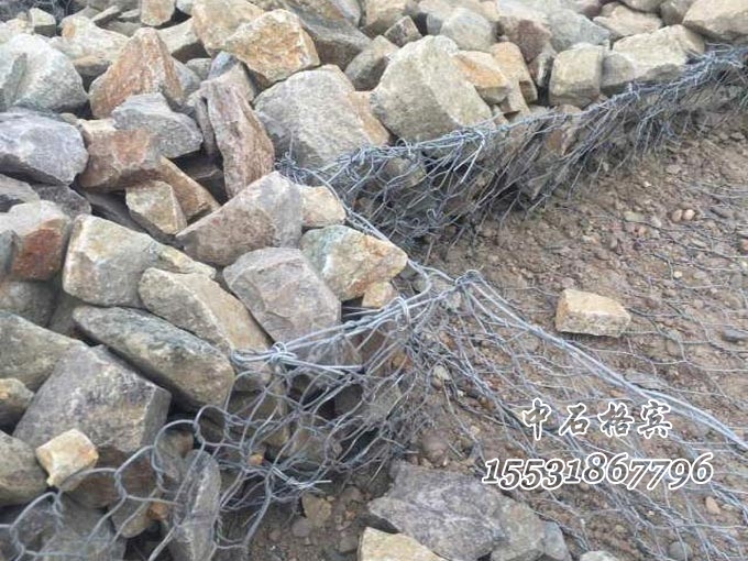 雙隔板雷諾護墊