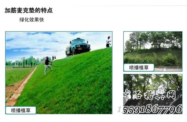 生態(tài)護(hù)坡加筋麥克墊 生態(tài)護(hù)坡加筋麥克墊