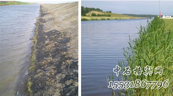 護(hù)坡加筋麥克墊 護(hù)坡加筋麥克墊